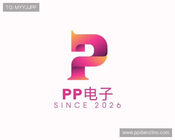 认识pp电子